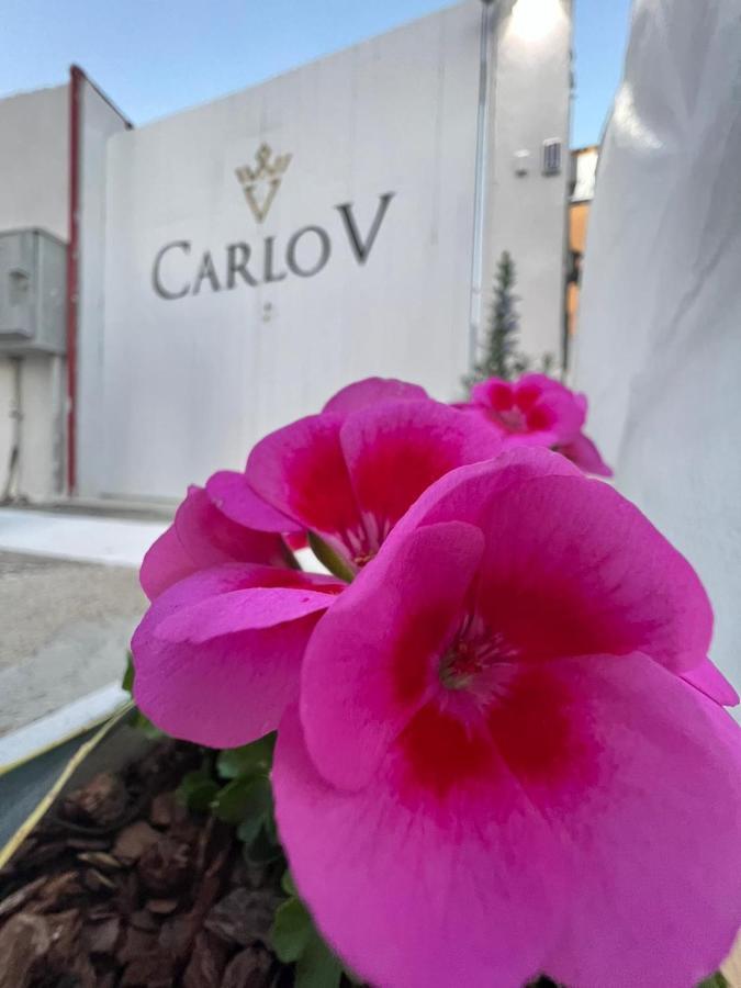 Carlo V - Holiday Rooms Porto Empedocle Exterior photo